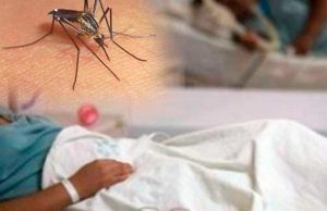 El dengue, un enemigo al acecho de los niños de América durante la pandemia