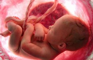 Nueva York asigna 250.000 dólares para abortos de mujeres sin recursos