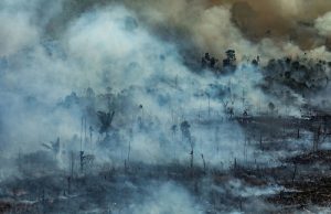 Más calentamiento, menos agua y extinción dejarán incendios en la Amazonía