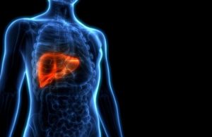 Para tu hígado «5 alimentos más saludables»