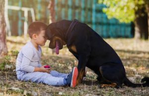 Lazos afectivos que los niños crean con sus perros pueden ayudarlos a superar la sensación de miedo o tristeza