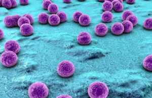 Bacterias sobreviven en el espacio exterior durante años