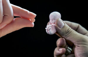 Iglesia pide al presidente de Ecuador vetar norma sobre aborto obstétrico