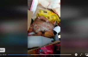 Una recién nacida dejada en basurero
