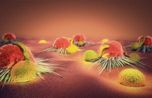 Hallado el denominador común para todos los cánceres / Fausto Juan Jon Bautista