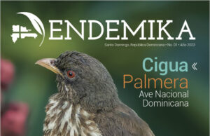 Fundación Endémika International pondrá en circulación revista medioambiental