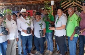 CoopEclof participa en jornada de reforestación en la cuenca de la presa de Valdesia