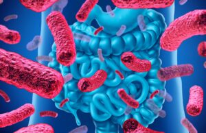 Probióticos: su relación con la pérdida de peso y la salud digestiva