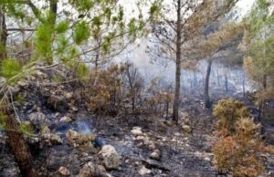 Fuerza Aérea de República Dominicana contribuye a sofocar incendio en Valle Nuevo, Constanza