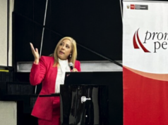 Abogada dominico-americana dicta IV Conferencia Migración-Inversión en Perú