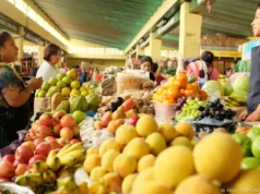 Mesa de Diálogo presenta plan nacional para garantizar seguridad alimentaria en RD