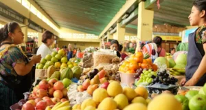 Mesa de Diálogo presenta plan nacional para garantizar seguridad alimentaria en RD