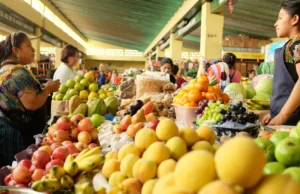 Mesa de Diálogo presenta plan nacional para garantizar seguridad alimentaria en RD