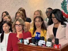 Diputados reiteran que el Tribunal Constitucional no puede legislar sobre las causales del aborto