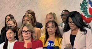 Diputados reiteran que el Tribunal Constitucional no puede legislar sobre las causales del aborto