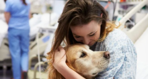 La compañía de un animal ayuda a pacientes con ACV a moverse más y participar en su rehabilitación