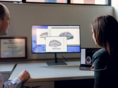Un nuevo mapa del cerebro abre camino a tratamientos personalizados para la epilepsia