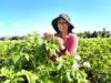 Agricultura beneficia a más de 4,700 mujeres rurales y fortalece su participación en el sector agropecuario