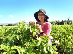 Agricultura beneficia a más de 4,700 mujeres rurales y fortalece su participación en el sector agropecuario