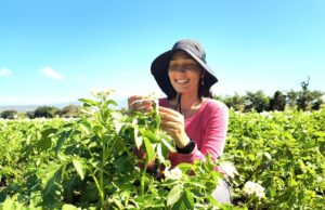 Agricultura beneficia a más de 4,700 mujeres rurales y fortalece su participación en el sector agropecuario