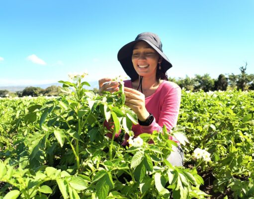 Agricultura beneficia a más de 4,700 mujeres rurales y fortalece su participación en el sector agropecuario